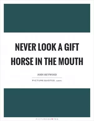 Never look a gift horse in the mouth Picture Quote #1