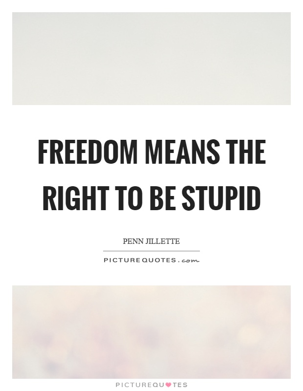 Freedom means the right to be stupid Picture Quote #1