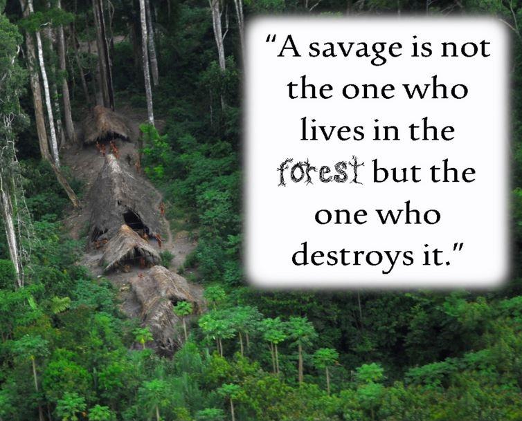 A savage is not the one who lives in the forest but the one who destroys it Picture Quote #1