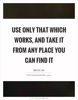 Use only that which works, and take it from any place you can find it Picture Quote #1