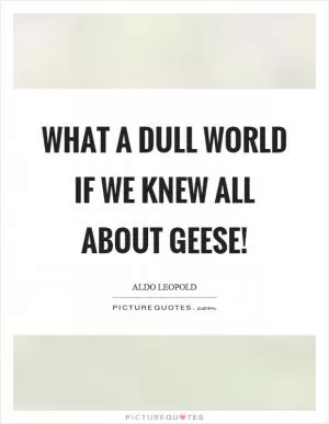 What a dull world if we knew all about geese! Picture Quote #1