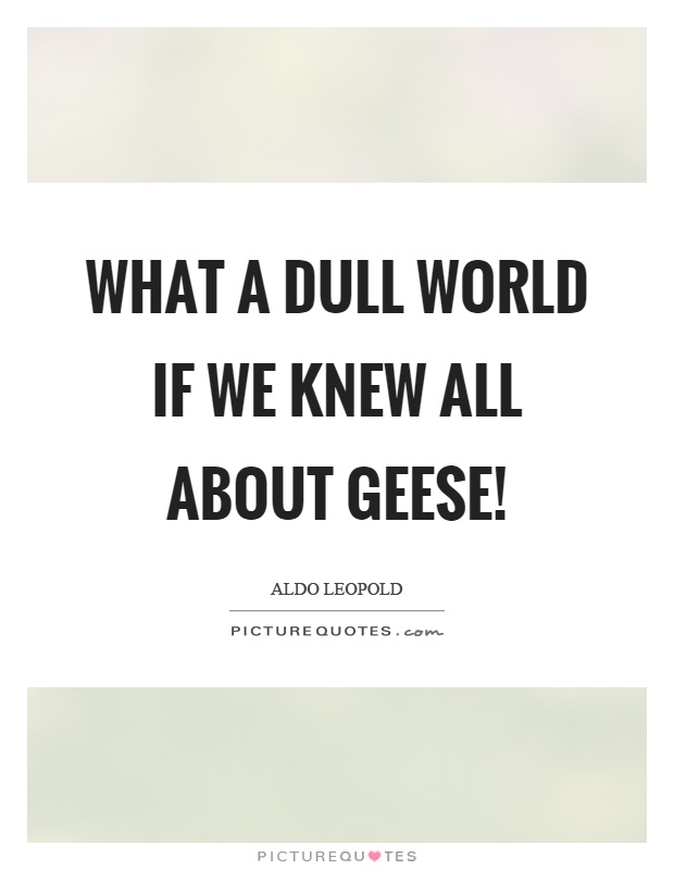 What a dull world if we knew all about geese! Picture Quote #1