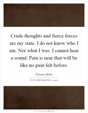 Crude thoughts and fierce forces are my state. I do not know who I am. Nor what I was. I cannot hear a sound. Pain is near that will be like no pain felt before Picture Quote #1