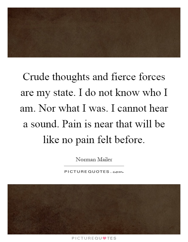 Crude thoughts and fierce forces are my state. I do not know who I am. Nor what I was. I cannot hear a sound. Pain is near that will be like no pain felt before Picture Quote #1
