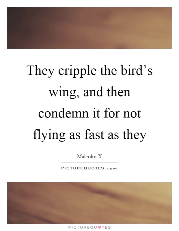 They cripple the bird's wing, and then condemn it for not flying as fast as they Picture Quote #1