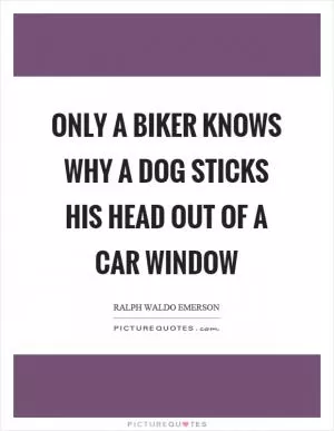 Only a biker knows why a dog sticks his head out of a car window Picture Quote #1