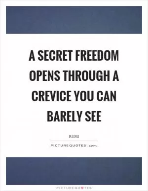 A secret freedom opens through a crevice you can barely see Picture Quote #1