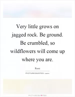 Very little grows on jagged rock. Be ground. Be crumbled, so wildflowers will come up where you are Picture Quote #1
