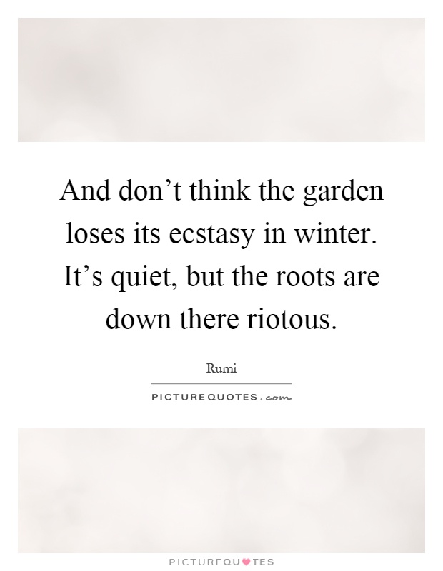 And don't think the garden loses its ecstasy in winter. It's quiet, but the roots are down there riotous Picture Quote #1