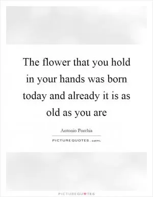 The flower that you hold in your hands was born today and already it is as old as you are Picture Quote #1