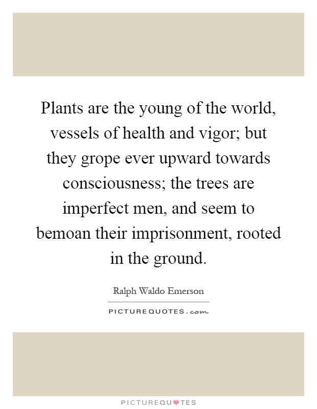 Plants are the young of the world, vessels of health and vigor; but they grope ever upward towards consciousness; the trees are imperfect men, and seem to bemoan their imprisonment, rooted in the ground Picture Quote #1
