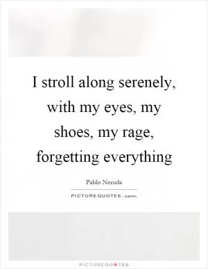 I stroll along serenely, with my eyes, my shoes, my rage, forgetting everything Picture Quote #1