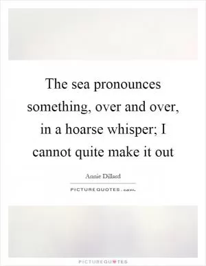 The sea pronounces something, over and over, in a hoarse whisper; I cannot quite make it out Picture Quote #1