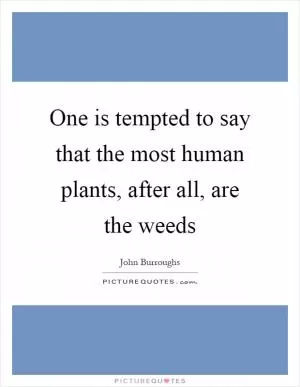 One is tempted to say that the most human plants, after all, are the weeds Picture Quote #1