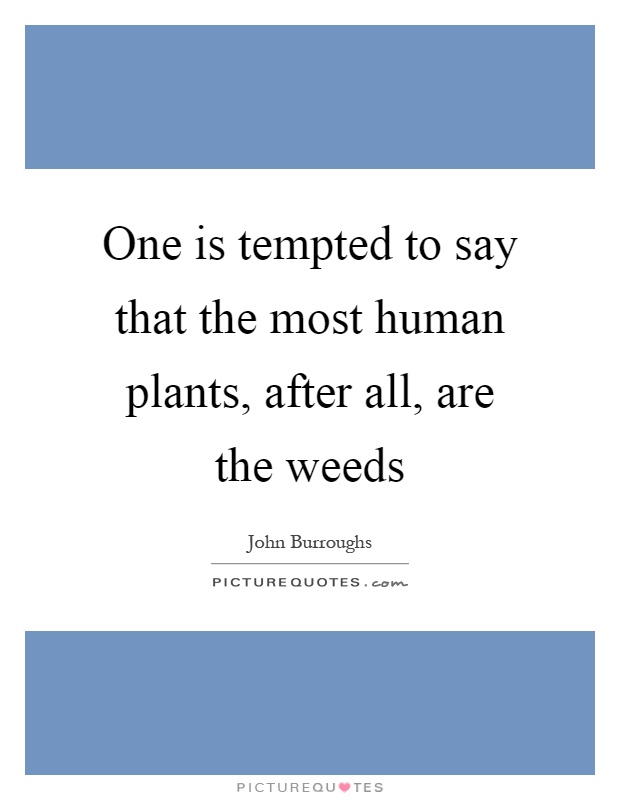 One is tempted to say that the most human plants, after all, are the weeds Picture Quote #1