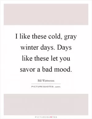 I like these cold, gray winter days. Days like these let you savor a bad mood Picture Quote #1