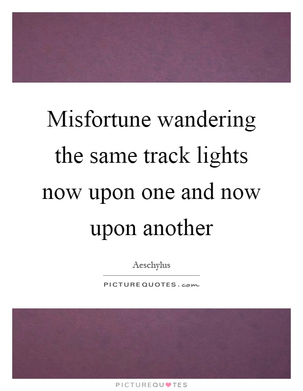 Misfortune wandering the same track lights now upon one and now upon another Picture Quote #1