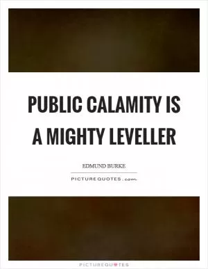 Public calamity is a mighty leveller Picture Quote #1