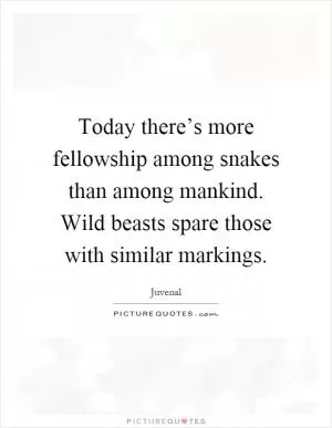 Today there’s more fellowship among snakes than among mankind. Wild beasts spare those with similar markings Picture Quote #1