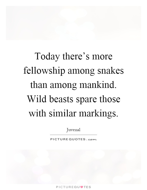 Today there's more fellowship among snakes than among mankind. Wild beasts spare those with similar markings Picture Quote #1