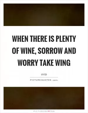 When there is plenty of wine, sorrow and worry take wing Picture Quote #1