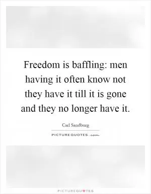 Freedom is baffling: men having it often know not they have it till it is gone and they no longer have it Picture Quote #1