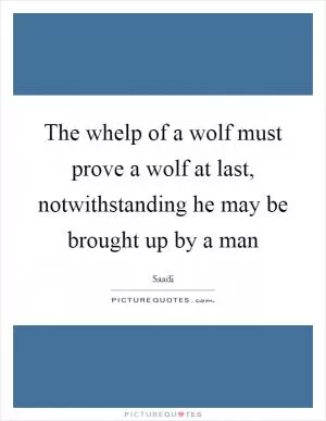 The whelp of a wolf must prove a wolf at last, notwithstanding he may be brought up by a man Picture Quote #1
