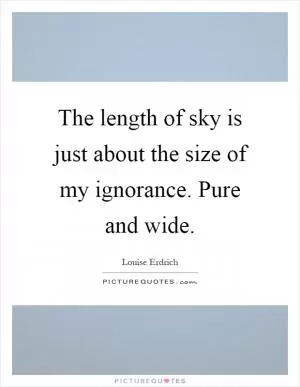 The length of sky is just about the size of my ignorance. Pure and wide Picture Quote #1