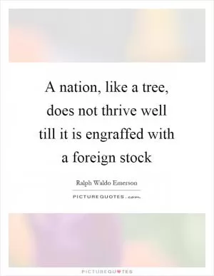 A nation, like a tree, does not thrive well till it is engraffed with a foreign stock Picture Quote #1