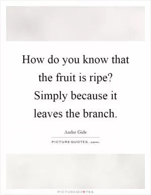How do you know that the fruit is ripe? Simply because it leaves the branch Picture Quote #1