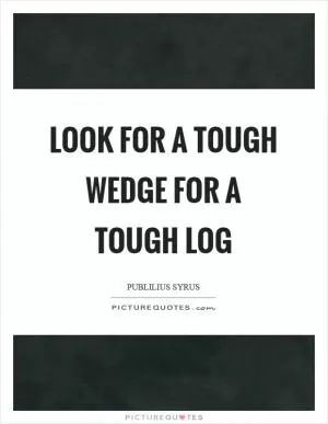 Look for a tough wedge for a tough log Picture Quote #1