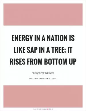 Energy in a nation is like sap in a tree; it rises from bottom up Picture Quote #1