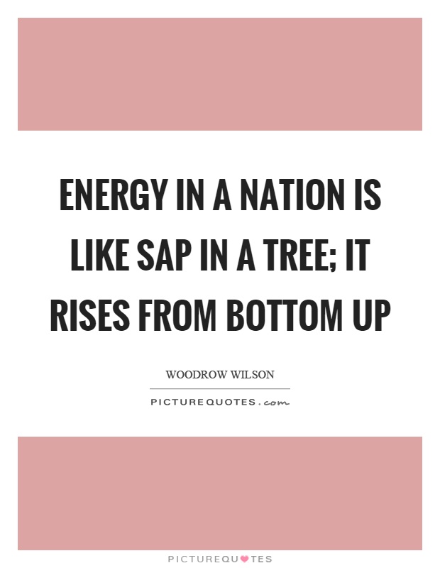 Energy in a nation is like sap in a tree; it rises from bottom up Picture Quote #1