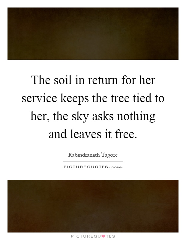The soil in return for her service keeps the tree tied to her, the sky asks nothing and leaves it free Picture Quote #1