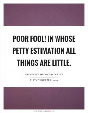 Poor fool! in whose petty estimation all things are little Picture Quote #1