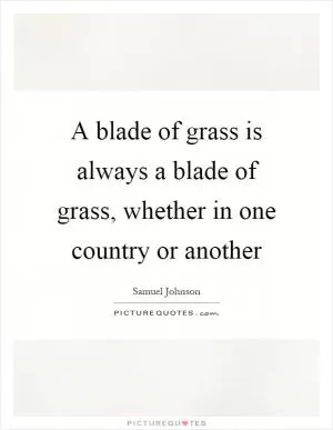 A blade of grass is always a blade of grass, whether in one country or another Picture Quote #1