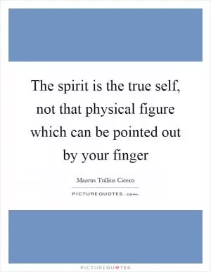 The spirit is the true self, not that physical figure which can be pointed out by your finger Picture Quote #1