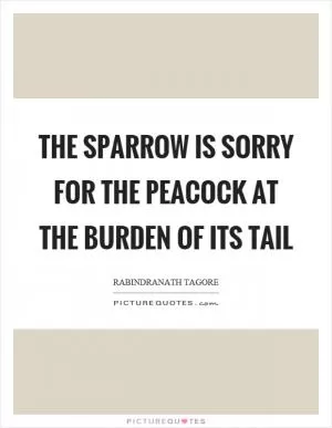 The sparrow is sorry for the peacock at the burden of its tail Picture Quote #1