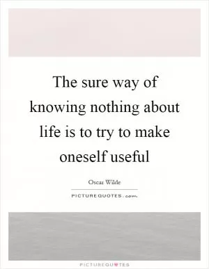 The sure way of knowing nothing about life is to try to make oneself useful Picture Quote #1