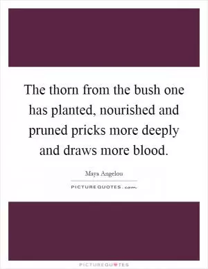The thorn from the bush one has planted, nourished and pruned pricks more deeply and draws more blood Picture Quote #1