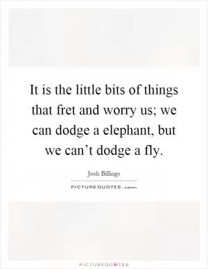 It is the little bits of things that fret and worry us; we can dodge a elephant, but we can’t dodge a fly Picture Quote #1
