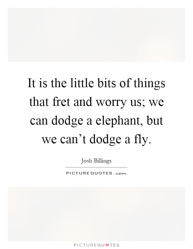 It is the little bits of things that fret and worry us; we can dodge a elephant, but we can't dodge a fly Picture Quote #1