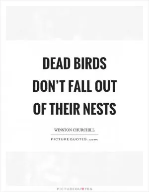Dead birds don’t fall out of their nests Picture Quote #1