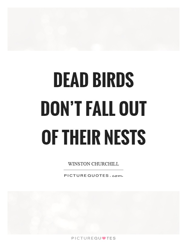 Dead birds don't fall out of their nests Picture Quote #1