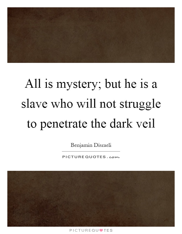 All is mystery; but he is a slave who will not struggle to penetrate the dark veil Picture Quote #1