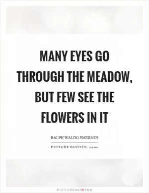 Many eyes go through the meadow, but few see the flowers in it Picture Quote #1