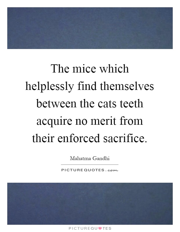 The mice which helplessly find themselves between the cats teeth acquire no merit from their enforced sacrifice Picture Quote #1