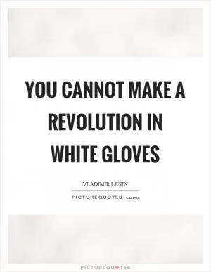 You cannot make a revolution in white gloves Picture Quote #1