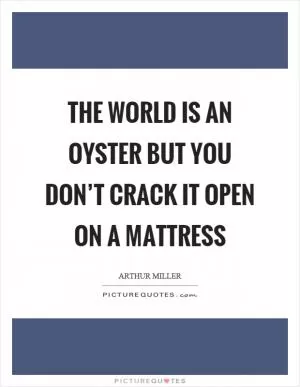 The world is an oyster but you don’t crack it open on a mattress Picture Quote #1