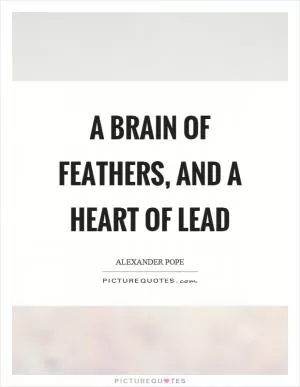 A brain of feathers, and a heart of lead Picture Quote #1